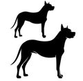 Great dane dog black vector outline Royalty Free Stock Photo