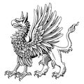 Standing Heraldic Griffin. Ink style engraving vector clipart