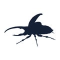 Standing Hercules Beetle On a Side View Silhouette Found In Map Of Central and South America Royalty Free Stock Photo