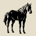 Standing Horse farm animal black color Royalty Free Stock Photo