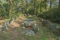 Standing inside Dolmen D43 Royalty Free Stock Photo