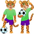 Two standing jaguars as the footballers in uniform with the soccer ball