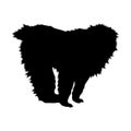 Standing Japanese Macaque Macaca fuscata On a Side View Silhouette Found In Map Of Japan. Good To Use For Element Print Book