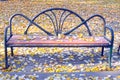 Standing lonely park bench Fallen leaves Royalty Free Stock Photo