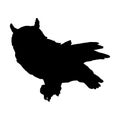 Standing Long Eared Owl Bird Casuarius On a Side View Silhouette Found In Map Of Asia, Eurasia, Europe And North America. Royalty Free Stock Photo