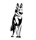 Standing malinois shepherd dog black and white vector outline
