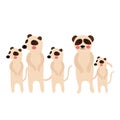 Standing Meerkat family group animal cartoon character vector illustration Royalty Free Stock Photo