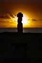 Standing moai in sunset Royalty Free Stock Photo