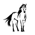 Standing mustang horse black and white vector outline portrait Royalty Free Stock Photo