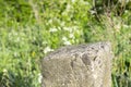 Standing old gray concrete pillar with planar surface on the top as a stage for something and blurred green grass background Royalty Free Stock Photo