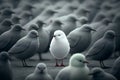 Standing out from the crowd, white bird standing between gray birds