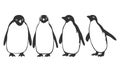 Standing Penguin Animal Silhouette Royalty Free Stock Photo