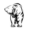 Polar bear realistic vector outline Royalty Free Stock Photo