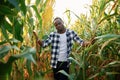 Standing and posing. Young black man is in the cornfield at daytime Royalty Free Stock Photo