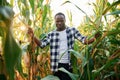 Standing and posing. Young black man is in the cornfield at daytime Royalty Free Stock Photo