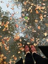 Standing in puddles reflections of autumn trees