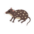 Standing Quoll animal cartoon character