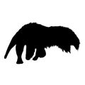 Standing Anteater Silhouette Vector Style Isolated On White