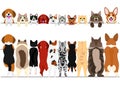 Standing small dogs and cats front and back border set Royalty Free Stock Photo