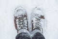 Standing in snow Royalty Free Stock Photo