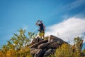 Standing sporty man with backpack on the mountain peak and beautiful mountains atbright sunny day. Royalty Free Stock Photo