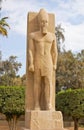 Standing statue of Ramses II Royalty Free Stock Photo