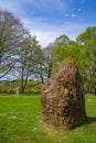 Standing stone and cairn at Clava Cairn in Scotland