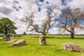 Standing stone circle Royalty Free Stock Photo