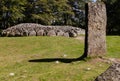 Standing Stone at Clava Cairn