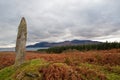 Standing stone and field