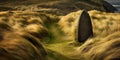 Standing stone in a field of tall grass with a path leading towards the ocean in the distance Royalty Free Stock Photo