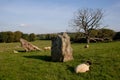Standing Stones Royalty Free Stock Photo