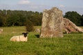 Standing Stones Royalty Free Stock Photo