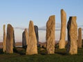 Standing Stones at Callanish Royalty Free Stock Photo