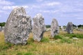 Standing stones at Carnac in France