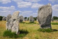Standing stones at Carnac in France Royalty Free Stock Photo