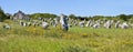 Standing stones at Carnac in France Royalty Free Stock Photo