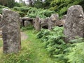 Standing stones of the Druid`s Temple, Masham, Yorkshire