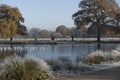 Standing on thin ice Royalty Free Stock Photo