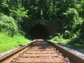 Train Tracks Leading to a Tunnel in the Forest Royalty Free Stock Photo