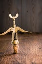 Standing vintage corkscrew Royalty Free Stock Photo