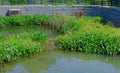 Standing Water in Detention Pond