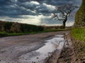 Standing water in pot holes on a damaged section of country lane in the north-west UK in winter