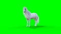 Standing white horse. Green screen. 3d rendering.