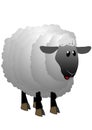 Standing white sheep