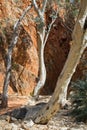 Australia, Standley Chasm, West Mac Donnell National Park