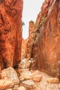 Standley Chasm track to Standley Chasm Gorge and Larapinta Trail