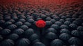 The Standout: A Red Umbrella Amidst a Sea of Black