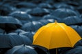 A Standout Umbrella Amidst A Crowd, Representing Leadership And Uniqueness