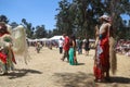 Stanford Powwow, California - Native American celebration